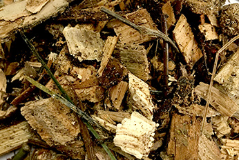 Ground Wood Chips