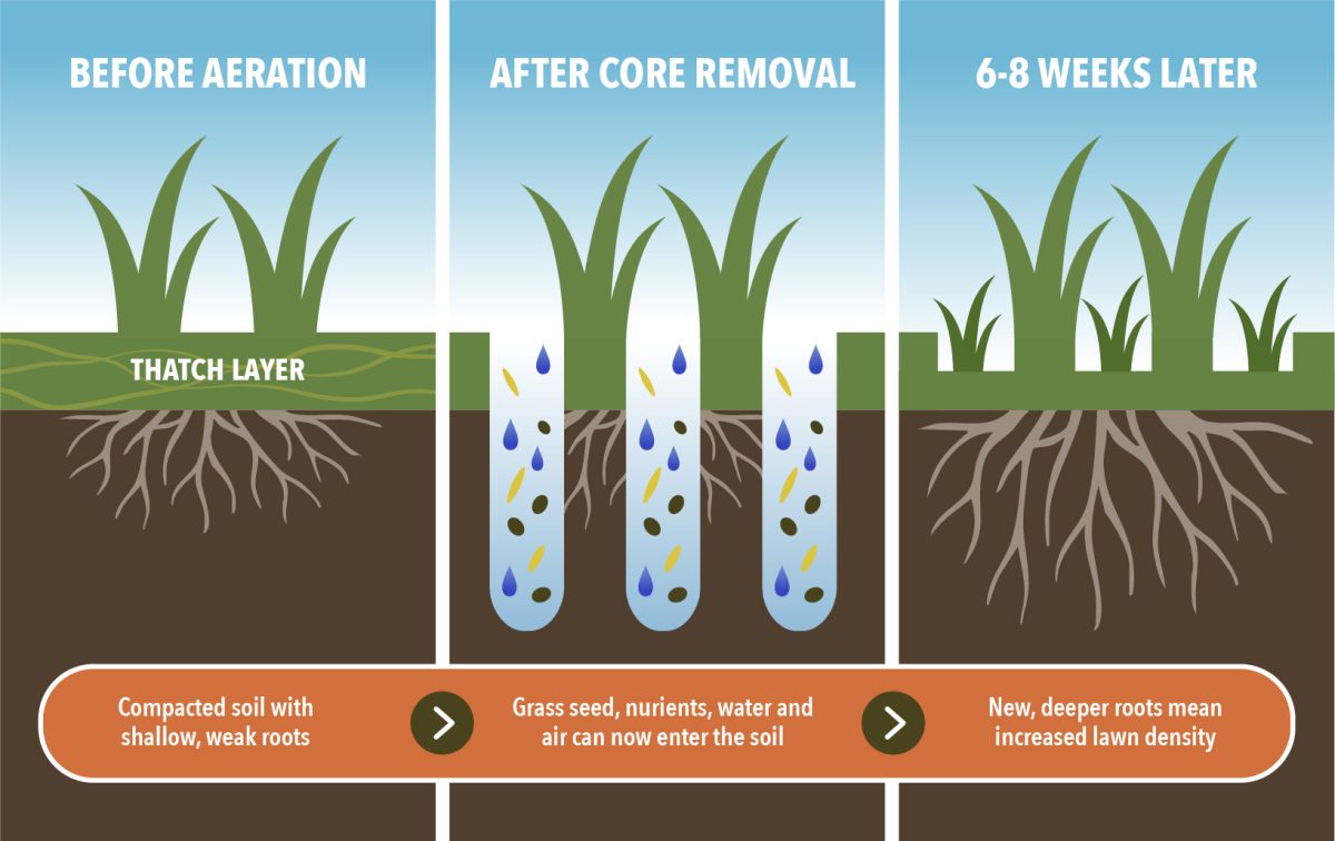 Lawn Aeration And Overseeding lawn-aeration-and-overseeding