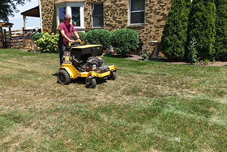 Aeration & Overseeding